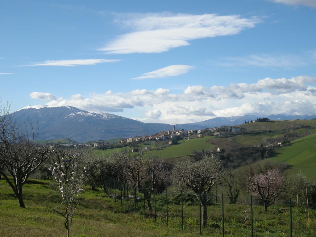 Bed And Breakfast San Martino Castignano Екстер'єр фото